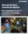 Mining Flotation Chemicals Market Size, Share, and Growth Analysis, By Chemical Type (Frothers, Collectors), By Ore Type (Sulfide ores, Non-sulfide ores), By Application, By End Use, By Region - Industry Forecast 2025-2032