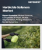 Herbicide Safeners Market Size, Share, and Growth Analysis, By Type (Benoxacor, Isoxadifen), By Application Stage (Pre-Emergence, Post-Emergence), By Herbicide Selectivity, By Region - Industry Forecast 2025-2032