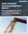 Grain And Seed Cleaning Equipment Market Size, Share, and Growth Analysis, By Equipment Type, By Automation Level, By End-User Industry, By Cleaning Process, By Seed Type, By Region - Industry Forecast 2025-2032