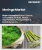 Moringa Market Size, Share, and Growth Analysis, By Product Type (Moringa Leaf, Moringa Oil), By Oil Type (Industrial, Vegetable), By Application, By Distribution Channel, By Region - Industry Forecast 2025-2032