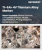 Ti-6AI-4V Titanium Alloy Market Size, Share, and Growth Analysis, By Form (Bars & Rods, Forgings), By Grade (Grade 5 (ELI), Grade 2 (General Purpose)), By Applications, By Region - Industry Forecast 2025-2032