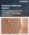 Exosomes Skincare Market Size, Share, and Growth Analysis, By Product Type, By Source, By Application, By Distribution Channel, By End User, By Region - Industry Forecast 2025-2032
