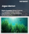Algae Market Size, Share, and Growth Analysis, By Type (Microalgae, Macroalgae), By Application (Animal Feed, Food), By Production Method, By Region - Industry Forecast 2025-2032