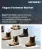 Vegan Footwear Market Size, Share, and Growth Analysis, By Product Type (Sneakers, Sandals & Flip-Flops), By Material Type, By Gender, By Price Range, By Distribution Channel, By Region - Industry Forecast 2026-2033