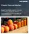 Peach Flavour Market Size, Share, and Growth Analysis, By Product Type, By Form, By Application, By End User, By Distribution Channel, By Region - Industry Forecast 2026-2033
