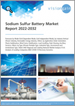 全球钠硫 (NAS) 电池市场预测(2022-2032 年):模式、行业、应用、类型、区域/主要市场分析、主要公司、COVID-19恢復情景