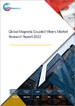 磁结合搅拌机的全球市场:2022年