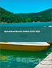 船艇出租的全球市场:2022年～2026年
