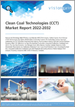 清洁呼叫技术(CCT)全球市场分析2022-2032：按技术,回收方法,CO2应用,类型,燃烧方法,地区,主要国家,主要企业Covid-19恢復市场分析