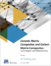陶瓷基复合材料 (CMC) 和碳基复合材料 (CAMC)：技术和全球市场