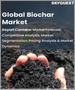 全球生物炭市场（按技术、按应用、按原材料类型、按地区）：预测与分析（2021-2028 年）