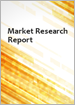 全球鼠标控制市场：国家分析和机遇
