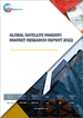 卫星影像的全球市场的分析 (2022年)