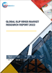 滑环的全球市场的分析 (2022年)