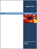 全球 CD47 抑製剂市场：临床试验见解 (2028)