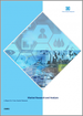 耐化学性止水材的全球市场:2022-2028年