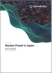日本的核能发电市场:市场规模，趋势，设备容量，发电量与技术，法规，发电厂，主要企业，预测(2022年～2035年)