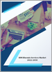 IBM Bluemix服务的全球市场:成长，未来展望，竞争分析 - 2022年～2030年