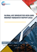 HBI (热间成型还原铁) 的全球市场的分析 (2022年)