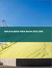 不溶性硫磺的全球市场 2022-2026
