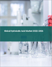 碘化氢酸的全球市场 2022-2026
