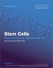 干细胞市场：规模、份额、趋势分析报告：副产品（成人干细胞、人类胚胎干细胞）、应用、技术、治疗、最终用途、地区、细分市场预测，2022-2030 年
