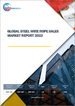 钢铁钢缆的全球市场:销售分析 (2022年)