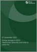 能源储存(2023年):逆风和顺风，及值得注意的点