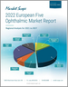 欧洲主要5个国家的眼科市场(2022年):2021年～2027年的分析