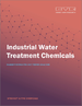 工业水处理化学品市场规模、份额、趋势分析报告：按应用（製冷/锅炉、海水淡化、原水处理）、地区、细分市场，2023-2030 年