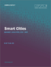 智能城市市场规模、份额和趋势分析报告：按应用、智能治理、智能公用事业、智能交通、地区、细分市场预测，2023-2030 年