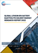 锂离子电池用电解液的全球市场:2022年