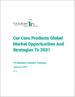 到 2031 年的全球汽车护理产品市场、机遇和战略