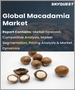 澳洲坚果的全球市场:各产品，加工，各流通管道，各地区，预测分析(2022年～2028年)