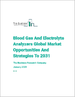 全球血压电解质分析仪市场：2031 年的机遇与战略