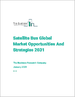 卫星巴士全球市场机遇和战略（至 2031 年）