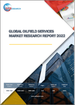 油田服务全球市场分析 (2022)
