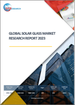 太阳能玻璃的全球市场的分析 (2023年)