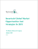 全球保险科技市场机遇和战略（至 2031 年）