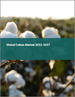 棉花的全球市场 2023-2027