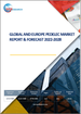 世界和欧洲的电动式自行车市场:分析、预测 (2022年～2028年)