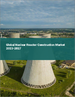 核子反应炉建设的全球市场 2023-2027