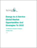 2023 年全球能源即服务 (EaaS) 市场报告