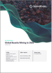 矾土矿业的全球市场 (2022-2026年):蕴藏量、生产量、资产、计划、需求促进因素、主要企业、预测