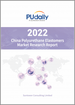 中国的聚氨酯 (UP) 合成橡胶市场:2022年
