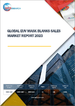 EUV光罩基板的全球市场:销售分析 (2023年)