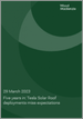 Tesla Solar Roof:即使进入第5年，普及情形未达预期
