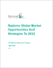 到 2032 年的全球天线罩市场、机遇和战略