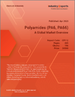 聚□胺（PA6、PA66）：全球市场概览