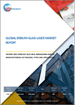 铒玻璃雷射的全球市场:分析、成果、预测 (2018年～2029年)
